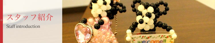 スタッフ紹介